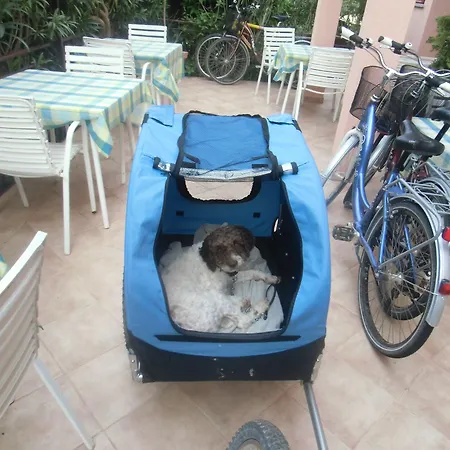 Apartament Apartments Romano