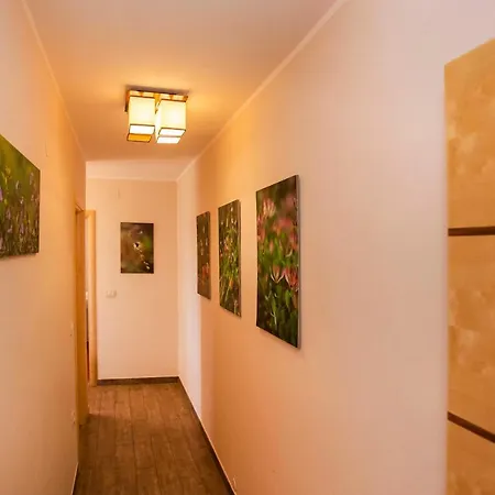 Apartments Romano Rovinj