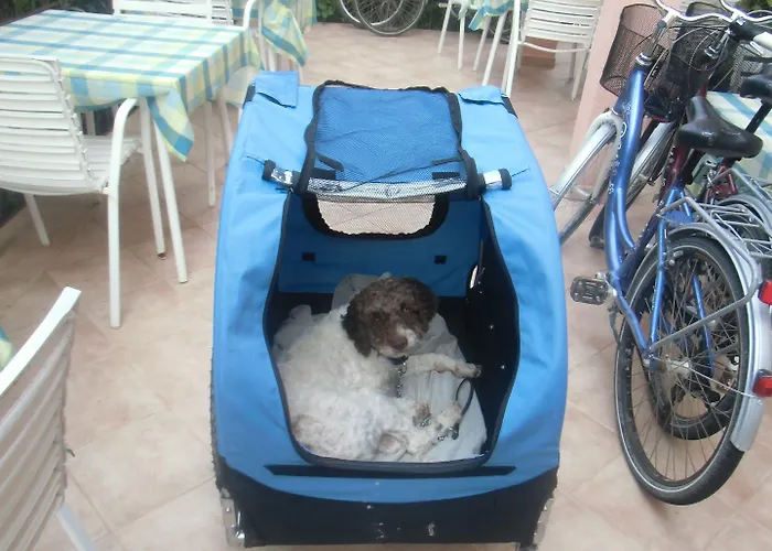 Lejlighed Apartments Romano