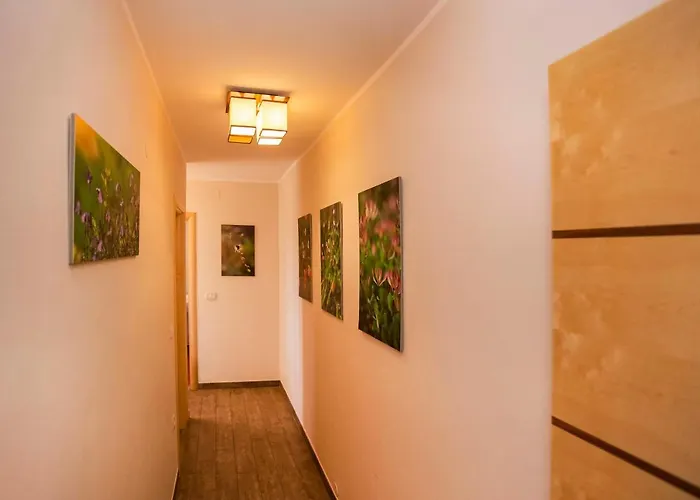 Apartments Romano Rovinj