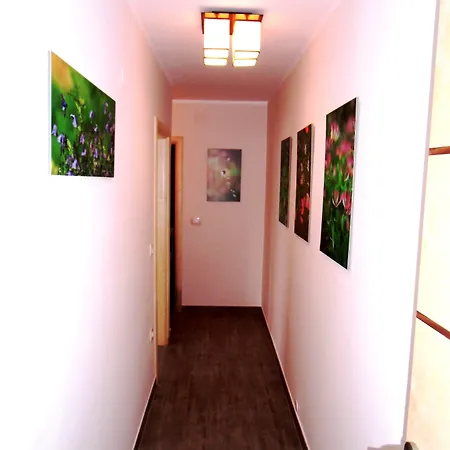 Apartments Romano